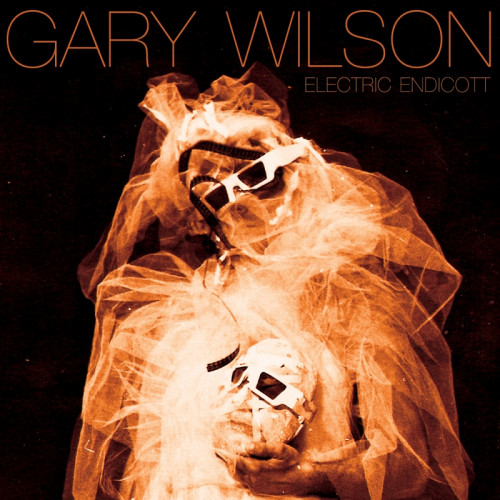 WILSON, GARY - ELECTRIC ENDICOTTWILSON, GARY - ELECTRIC ENDICOTT.jpg